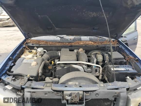 2006 Chevrolet TrailBlazer LS with VIN 1GNDT13S362319103, listed as a Copart auction lot 80567725 with 307,879 mi miles and Salvage title. Bid and sale history available at DreamBid. Image 12.