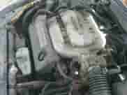 2007 Honda Accord LX with VIN 1HGCM66397A000929, listed as a IAAI auction lot 41404966 with 209,047 mi miles and . Bid and sale history available at DreamBid. Image 14.