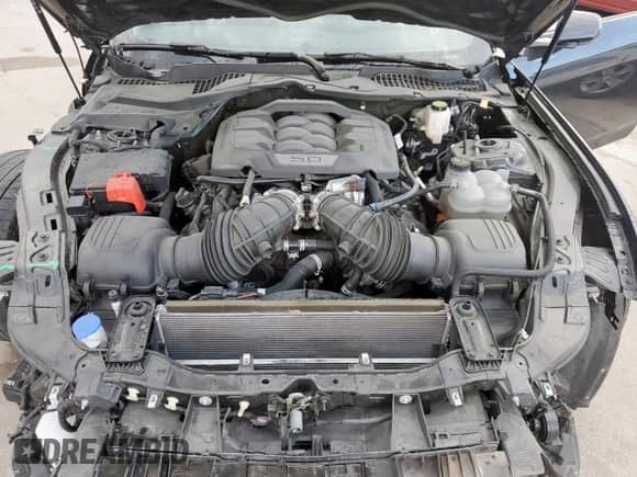 2024 Ford Mustang GT Premium с VIN 1FA6P8CF4R5404526, выставлен на аукционе Copart как лот 81046015 с пробегом 23 796 миль миль и Списание • Salvage title. История ставок и продаж доступна на DreamBid. Изображение 11.