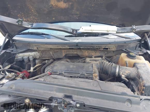 2013 Ford F-150 XL z VIN 1FTEX1CM8DFB15793, wystawiony jako IAAI lot #43255608 z przebiegiem 178 163 mil mil oraz . Historia ofert i sprzedaży dostępna na DreamBid. Obrazek 10.