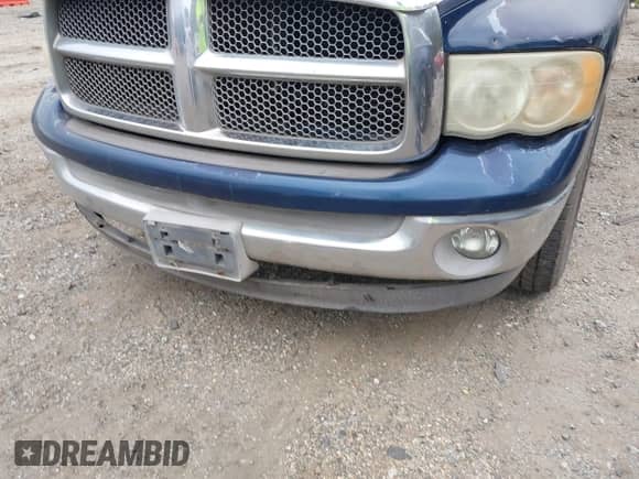 2002 Dodge 1500 with VIN 1D7HA18NX2S621782, listed as a IAAI auction lot 43136085 with 286,251 mi miles and . Bid and sale history available at DreamBid. Image 6.