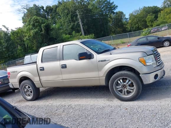2010 Ford F-150 XL with VIN 1FTFW1EV7AFD30638, listed as a IAAI auction lot 43113747 with 216,145 mi miles and . Bid and sale history available at DreamBid. Image 13.