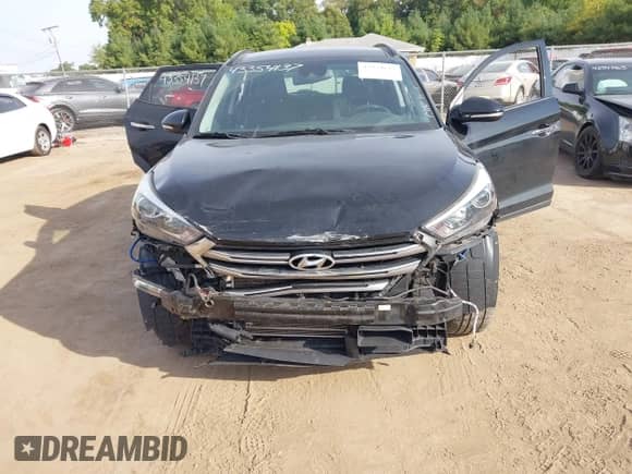 2017 Hyundai Tucson Sport с VIN KM8J3CA21HU530877, выставлен на аукционе IAAI как лот 43354137 с пробегом 106 656 миль миль и . История ставок и продаж доступна на DreamBid. Изображение 6.