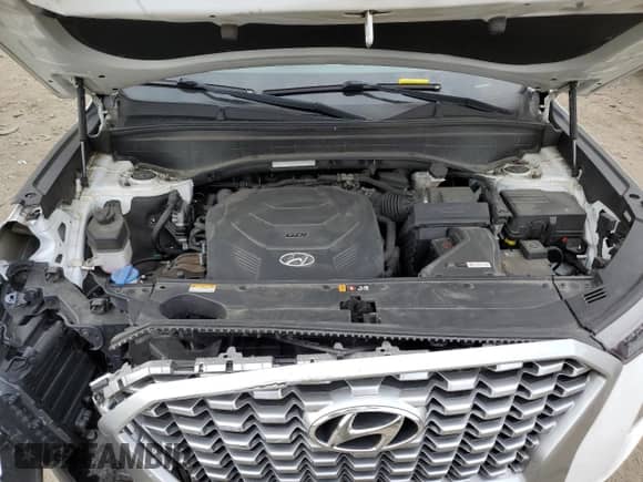 2021 Hyundai Palisade SE с VIN KM8R1DHE7MU210696, выставлен на аукционе Copart как лот 72760414 с пробегом 90 150 миль миль и Списание • Salvage title. История ставок и продаж доступна на DreamBid. Изображение 12.