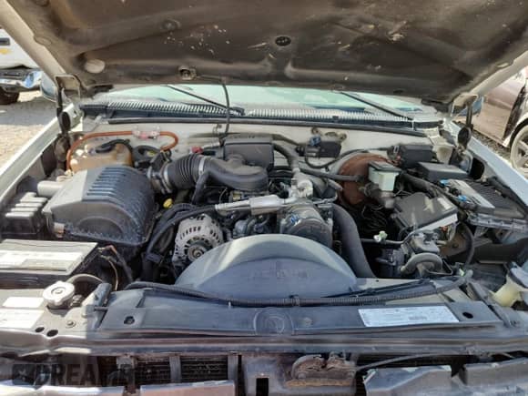 1999 Chevrolet Tahoe with VIN 1GNEK13R9XJ532696, listed as a Copart auction lot 69307695 with Not provided miles and Salvage title. Bid and sale history available at DreamBid. Image 12.