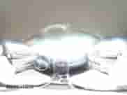 2017 Toyota Camry SE with VIN 4T1BF1FK2HU344466, listed as a Copart auction lot 70181935 with 84,466 mi miles and Salvage title. Bid and sale history available at DreamBid. Image 15.