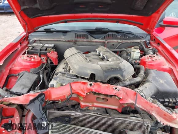 2014 Ford Mustang GT with VIN 1ZVBP8CF0E5243561, listed as a IAAI auction lot 43439298 with 37,040 mi miles and . Bid and sale history available at DreamBid. Image 10.