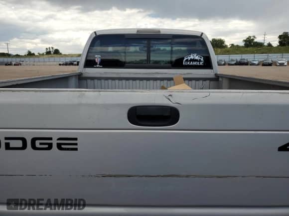1999 Dodge 1500 with VIN 1B7HF16Z1XS320584, listed as a Copart auction lot 65469405 with 194,069 mi miles and Clean title. Bid and sale history available at DreamBid. Image 10.