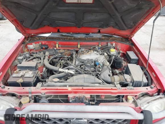 1999 Nissan Pathfinder XE z VIN JN8AR07Y5XW363931, wystawiony jako IAAI lot #38704508 z przebiegiem 205 288 mil mil oraz . Historia ofert i sprzedaży dostępna na DreamBid. Obrazek 10.