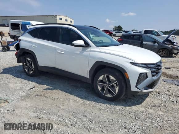 2025 Hyundai Tucson SEL Convenience with VIN KM8JCDD17SU249182, listed as a Copart auction lot 81002675 with 12,432 mi miles and Salvage title. Bid and sale history available at DreamBid. Image 4.