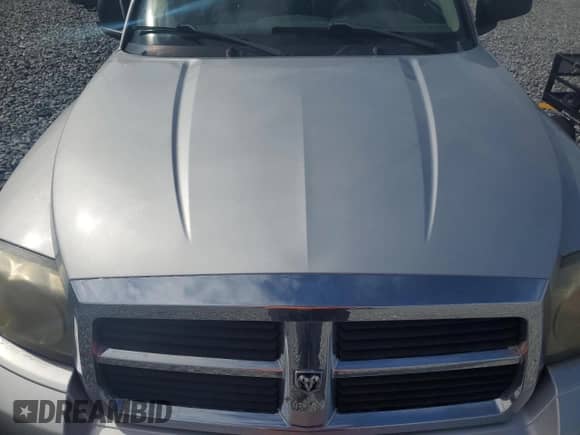 2005 Dodge Dakota with VIN 1D7HW52N25S260781, listed as a Copart auction lot 71846035 with 191,094 mi miles and Salvage title. Bid and sale history available at DreamBid. Image 11.