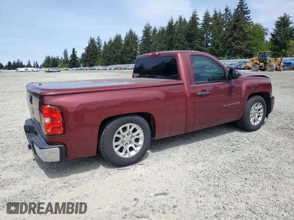 2009 Chevrolet Silverado 1500 Work Truck with VIN 1GCEC14X29Z218430, listed as a Copart auction lot 56406835 with 170,868 mi miles and Salvage title. Bid and sale history available at DreamBid. Image 3.