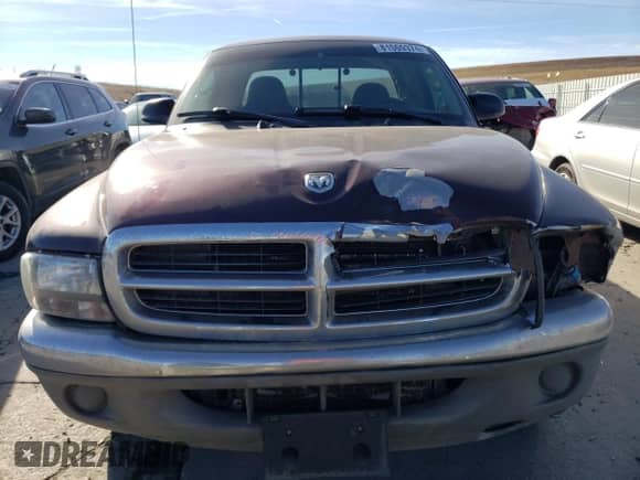 2004 Dodge Dakota SLT with VIN 1D7GL42N94S663556, listed as a Copart auction lot 81569374 with 121,371 mi miles and Salvage title. Bid and sale history available at DreamBid. Image 5.
