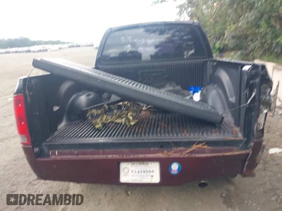 2003 Dodge 1500 ST with VIN 1D7HA18N83S371315, listed as a IAAI auction lot 42965850 with Not provided miles and . Bid and sale history available at DreamBid. Image 16.