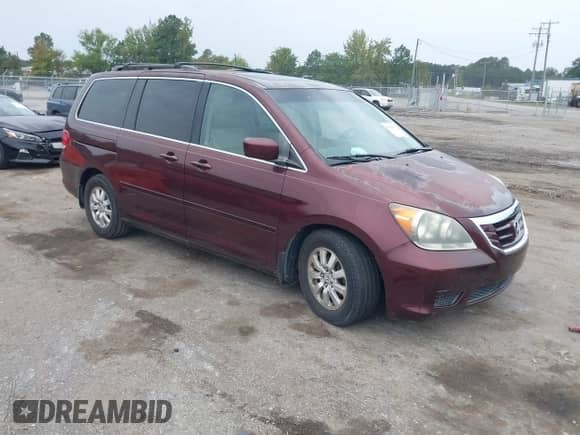 2008 Honda Odyssey EX-L with VIN 5FNRL38638B405307, listed as a IAAI auction lot 43341982 with 146,244 mi miles and . Bid and sale history available at DreamBid. Image 1.