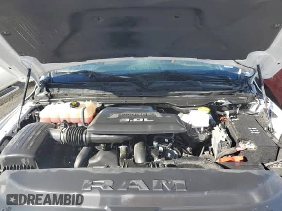 2020 Ram 1500 Longhorn with VIN 1C6SRFKM8LN323731, listed as a Copart auction lot 75118744 with Not provided miles and Salvage title. Bid and sale history available at DreamBid. Image 11.