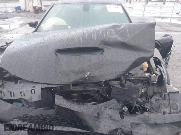 2021 Dodge Charger Scat Pack Widebody with VIN 2C3CDXGJ9MH561070, listed as a IAAI auction lot 41798863 with 62,984 mi miles and . Bid and sale history available at DreamBid. Image 10.