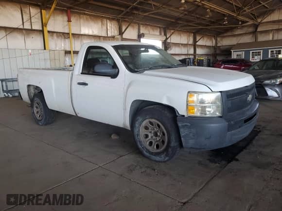 2009 Chevrolet Silverado 1500 Work Truck with VIN 1GCEC14C49Z172662, listed as a Copart auction lot 67120115 with Not provided miles and Salvage title. Bid and sale history available at DreamBid. Image 4.