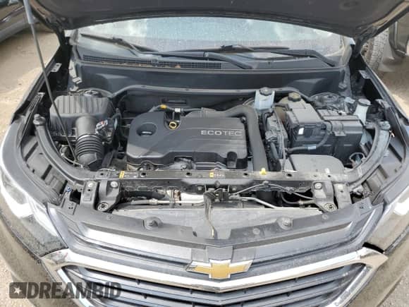 2018 Chevrolet Equinox LT z VIN 3GNAXSEVXJL405942, wystawiony jako Copart lot #67852855 z przebiegiem 67 124 mil mil oraz Szkoda całkowita • Salvage title. Historia ofert i sprzedaży dostępna na DreamBid. Obrazek 11.