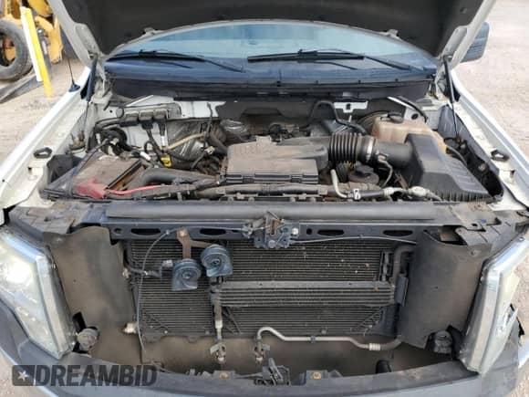 2010 Ford F-150 XL с VIN 1FTEW1CW9AFB40119, выставлен на аукционе Copart как лот 71549555 с пробегом 177 450 миль миль и Списание • Salvage title. История ставок и продаж доступна на DreamBid. Изображение 11.