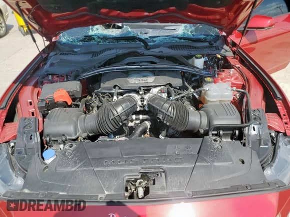 2024 Ford Mustang GT с VIN 1FA6P8CF0R5409979, выставлен на аукционе Copart как лот 80409895 с пробегом 25 357 миль миль и Списание • Salvage title. История ставок и продаж доступна на DreamBid. Изображение 11.