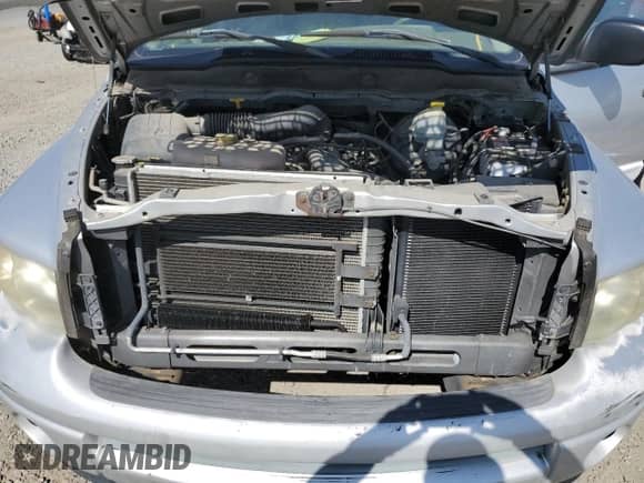 2003 Dodge 1500 ST z VIN 1D7HA18Z93J522655, wystawiony jako Copart lot #90313735 z przebiegiem 113 219 mil mil oraz Czysty tytuł • Clean title. Historia ofert i sprzedaży dostępna na DreamBid. Obrazek 11.