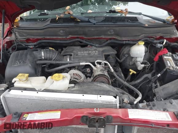 2008 Dodge 1500 SLT with VIN 1D7HU182X8J139518, listed as a IAAI auction lot 43299360 with 181,646 mi miles and . Bid and sale history available at DreamBid. Image 10.