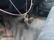 1997 Chevrolet Silverado 2500 with VIN 1GCGC24R1VZ174933, listed as a IAAI auction lot 42198722 with 231,645 mi miles and . Bid and sale history available at DreamBid. Image 11.