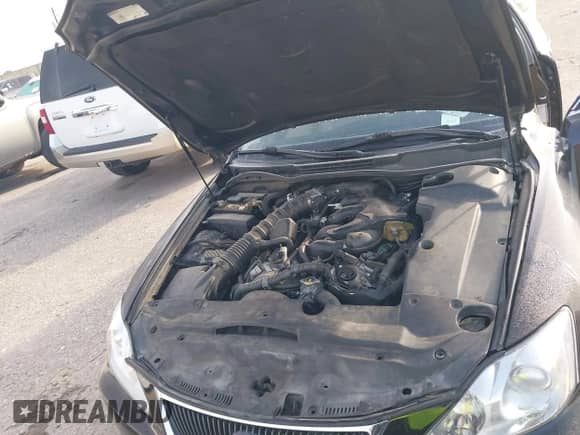 2007 Lexus IS 250 с VIN JTHBK262772033095, выставлен на аукционе IAAI как лот 43553069 с пробегом 392 514 миль миль и . История ставок и продаж доступна на DreamBid. Изображение 10.