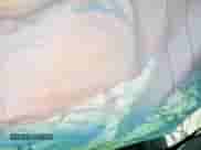 2016 Hyundai Tucson SE с VIN KM8J33A42GU110982, выставлен на аукционе Copart как лот 80180515 с пробегом Не указан миль и Списание • Salvage title. История ставок и продаж доступна на DreamBid. Изображение 7.