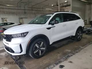 2022 Kia Sorento EX with VIN 5XYRH4LF8NG157722, listed as a Copart auction lot 81219475 with 31,015 mi miles and Salvage title. Bid and sale history available at DreamBid. Image 1.