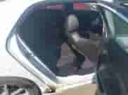 2011 Chevrolet Malibu LTZ with VIN 1G1ZE5E12BF364369, listed as a IAAI auction lot 43308721 with 201,069 mi miles and . Bid and sale history available at DreamBid. Image 8.