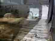 2004 Ford Econoline Cargo с VIN 1FTNS24L74HA60400, выставлен на аукционе Copart как лот 84189174 с пробегом 434 015 миль миль и Чистый • Clean title. История ставок и продаж доступна на DreamBid. Изображение 11.