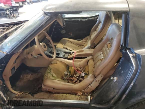 1981 Chevrolet Corvette z VIN 1G1AY8763BS411382, wystawiony jako Copart lot #46404285 z przebiegiem 79 581 mil mil oraz Czysty tytuł • Clean title. Historia ofert i sprzedaży dostępna na DreamBid. Obrazek 7.