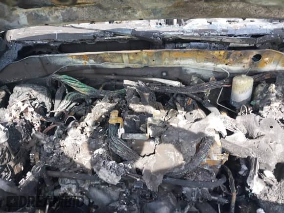 2024 Nissan Frontier S with VIN 1N6ED1CM1RN675481, listed as a IAAI auction lot 41598912 with 1,483 mi miles and . Bid and sale history available at DreamBid. Image 10.