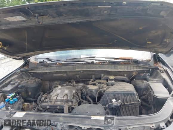 2008 Hyundai Veracruz GLS with VIN KM8NU13C48U065777, listed as a IAAI auction lot 42176461 with 324,976 mi miles and . Bid and sale history available at DreamBid. Image 10.