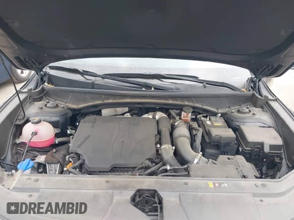 2024 Hyundai Santa Cruz XRT с VIN 5NTJDDAFXRH077219, выставлен на аукционе IAAI как лот 42403264 с пробегом 13 812 миль миль и . История ставок и продаж доступна на DreamBid. Изображение 10.