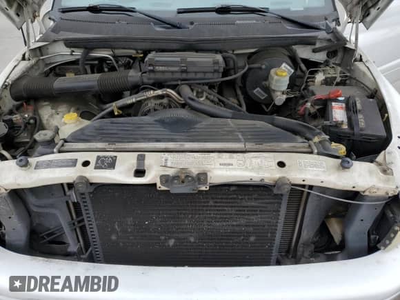 1998 Dodge 1500 с VIN 1B7HC13Z0WJ104596, выставлен на аукционе Copart как лот 55744965 с пробегом 184 017 миль миль и Списание • Salvage title. История ставок и продаж доступна на DreamBid. Изображение 11.