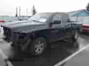 2011 Ram 1500 ST with VIN 1D7RB1GP4BS512156, listed as a IAAI auction lot 41219015 with 206,693 mi miles and . Bid and sale history available at DreamBid. Image 18.