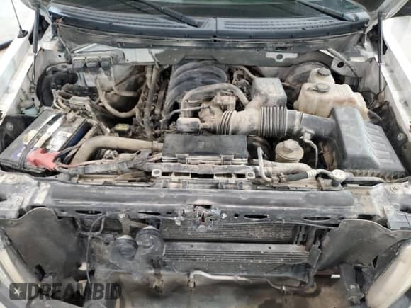 2010 Ford F-150 XL with VIN 1FTMF1C83AKA83985, listed as a Copart auction lot 44575155 with 315,277 mi miles and Salvage title. Bid and sale history available at DreamBid. Image 11.