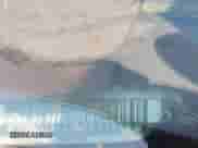1992 Chevrolet Silverado 1500 с VIN 1GCDC14Z6NE231518, выставлен на аукционе IAAI как лот 42680199 с пробегом 177 879 миль миль и . История ставок и продаж доступна на DreamBid. Изображение 17.