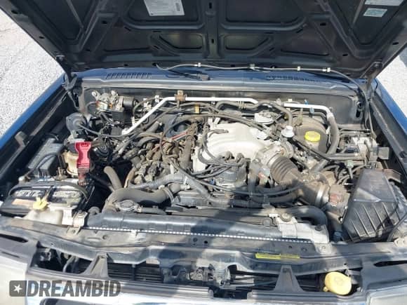 2000 Nissan Frontier XE с VIN 1N6ED26T8YC307768, выставлен на аукционе IAAI как лот 43503944 с пробегом 172 777 миль миль и . История ставок и продаж доступна на DreamBid. Изображение 10.