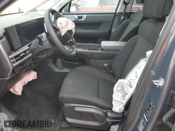 2024 Hyundai Santa Fe SE с VIN 5NMP14GL5RH050344, выставлен на аукционе Copart как лот 79371374 с пробегом 12 106 миль миль и Списание • Salvage title. История ставок и продаж доступна на DreamBid. Изображение 7.