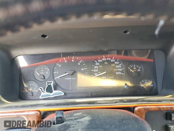 1996 Jeep Grand Cherokee with VIN 1J4EZ58S4TC151483, listed as a Copart auction lot 54982455 with Not provided miles and Salvage title. Bid and sale history available at DreamBid. Image 9.