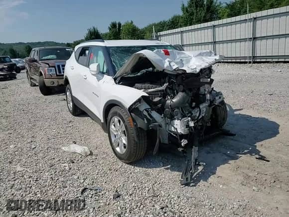 2019 Chevrolet Blazer with VIN 3GNKBCRS3KS673960, listed as a Copart auction lot 68015915 with Not provided miles and Salvage title. Bid and sale history available at DreamBid. Image 15.