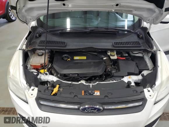 2014 Ford Escape SE with VIN 1FMCU0GX0EUC13773, listed as a Copart auction lot 85763895 with 161,213 mi miles and Clean title. Bid and sale history available at DreamBid. Image 12.