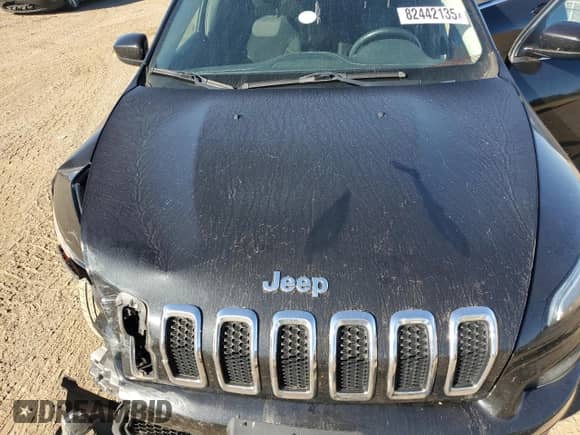 2014 Jeep Cherokee Latitude with VIN 1C4PJMCS4EW181608, listed as a Copart auction lot 82442135 with 198,324 mi miles and Salvage title. Bid and sale history available at DreamBid. Image 12.