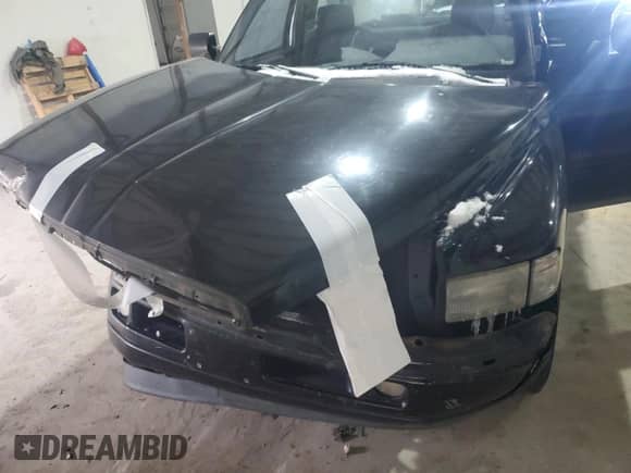 1995 Dodge 1500 with VIN 1B7HC16Y3SS346595, listed as a Copart auction lot 88794145 with 195,900 mi miles and Salvage title. Bid and sale history available at DreamBid. Image 12.