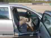 2005 Chevrolet Cobalt с VIN 1G1AK52F557557829, выставлен на аукционе IAAI как лот 43220362 с пробегом 254 701 миль миль и . История ставок и продаж доступна на DreamBid. Изображение 5.