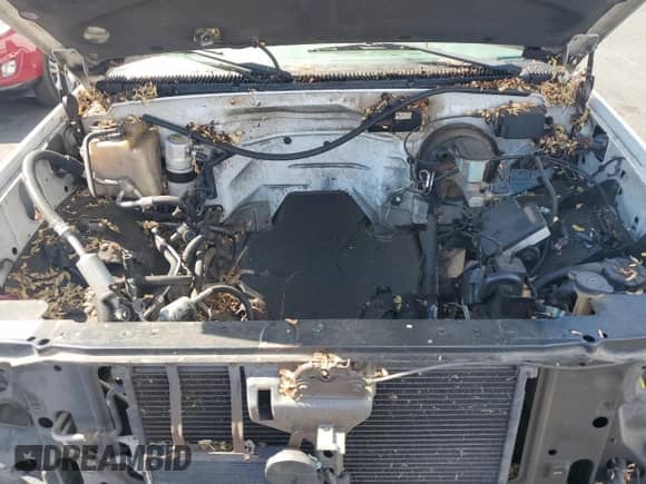 1999 Chevrolet Suburban с VIN 3GNFK16R8XG233203, выставлен на аукционе Copart как лот 84219905 с пробегом Не указан миль и Чистый • Clean title. История ставок и продаж доступна на DreamBid. Изображение 12.
